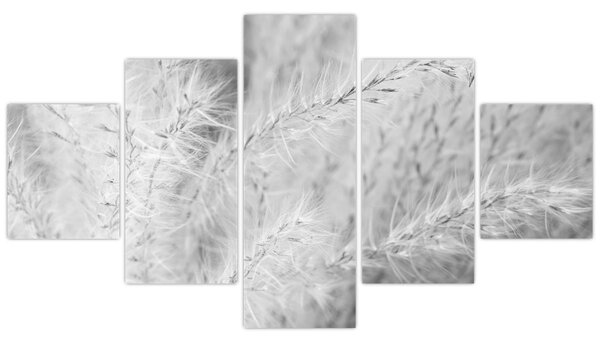 Obraz - Pampas grass N⁰1 (125x70 cm)