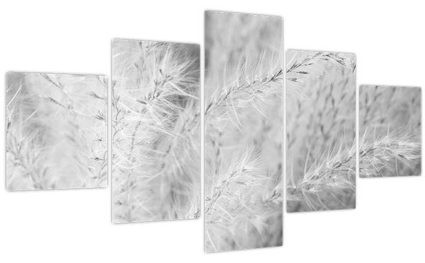 Obraz - Pampas grass N⁰1 (125x70 cm)
