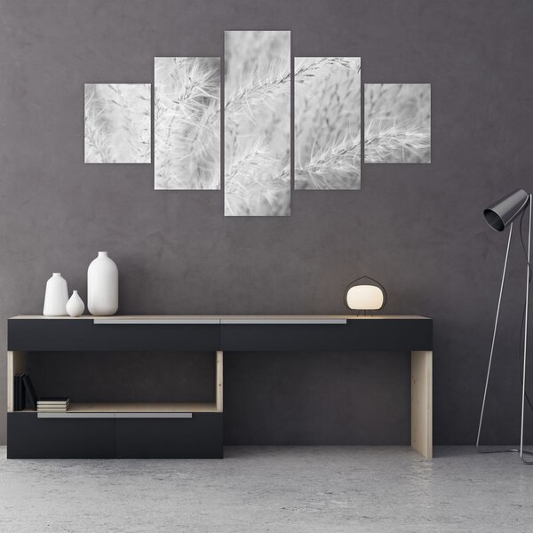 Obraz - Pampas grass N⁰1 (125x70 cm)