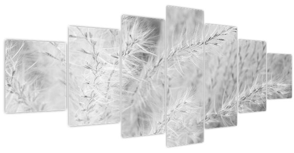 Obraz - Pampas grass N⁰1 (210x100 cm)