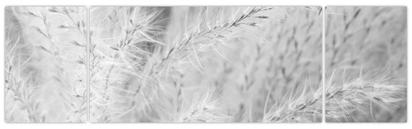 Obraz - Pampas grass N⁰1 (170x50 cm)