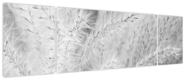 Obraz - Pampas grass N⁰1 (170x50 cm)