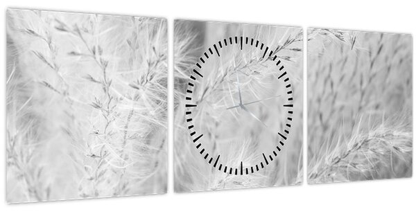 Obraz - Pampas grass N⁰1 (s hodinami) (90x30 cm)