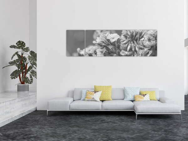 Obraz - Sušené květy (170x50 cm)