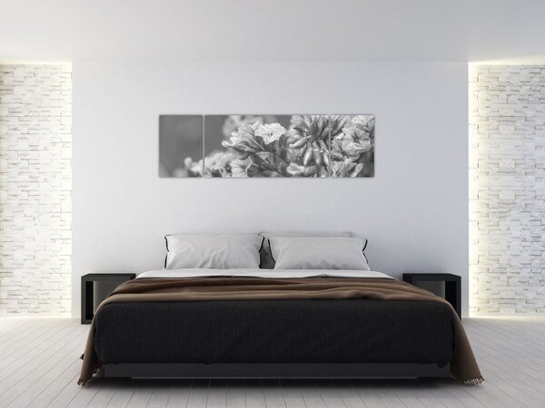 Obraz - Sušené květy (170x50 cm)