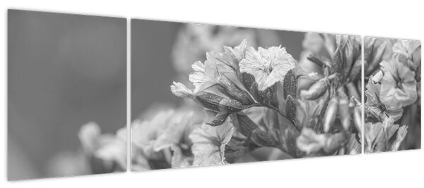 Obraz - Sušené květy (170x50 cm)