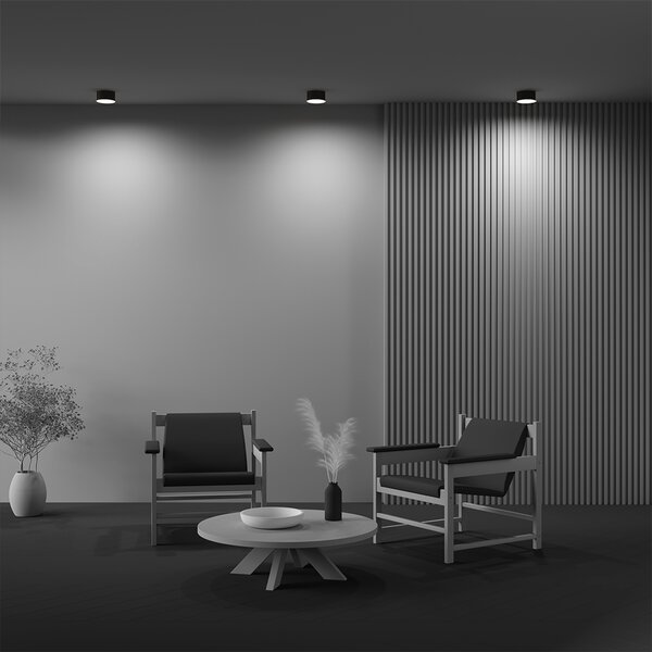 Maytoni Stropní LED svítidlo ZON, 12W, ⌀ 12 cm Barva: Bílá
