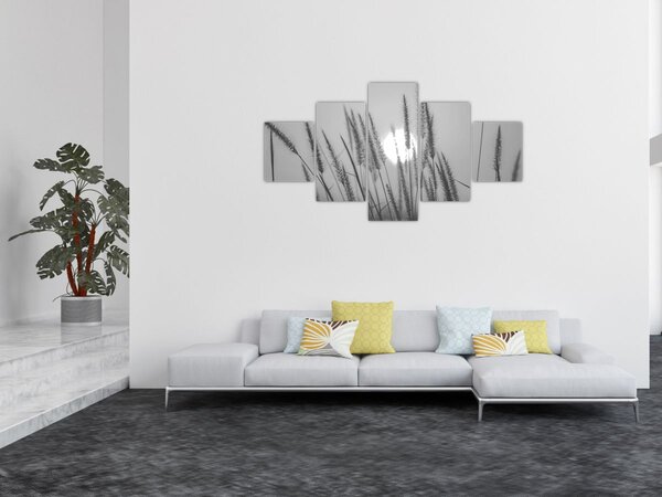 Obraz - Louka při západu slunce (125x70 cm)