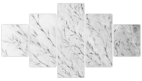 Obraz - Pampas grass N⁰2 (125x70 cm)