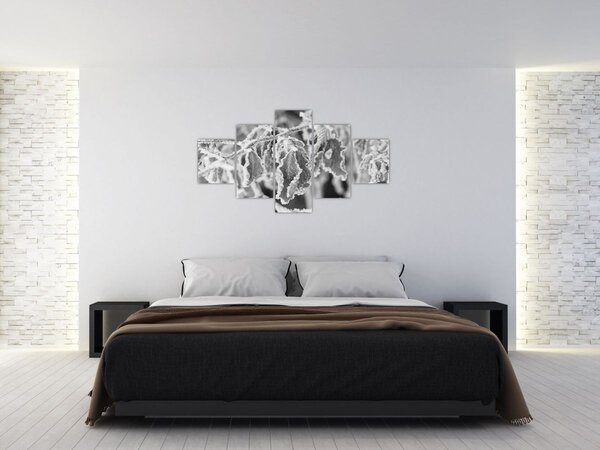 Obraz - Zmrzlé listy, černobílá (125x70 cm)