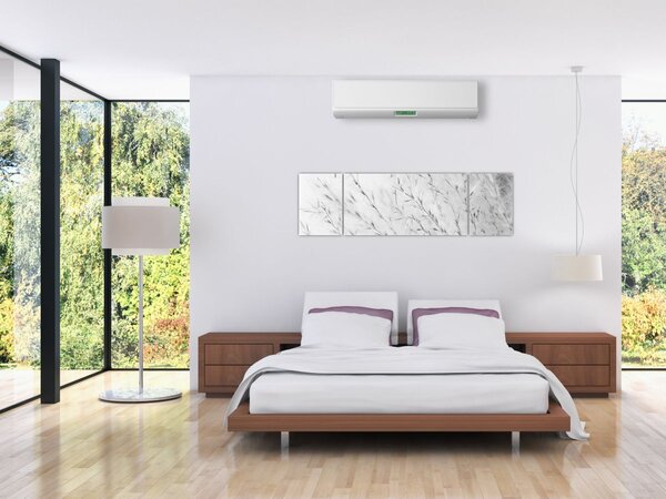 Obraz - Pampas grass N⁰2 (170x50 cm)