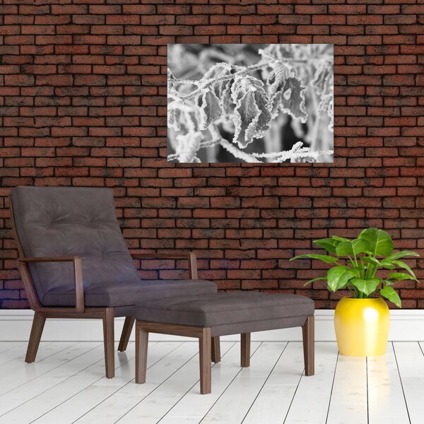 Obraz - Zmrzlé listy, černobílá (70x50 cm)