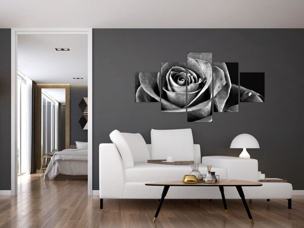 Obraz - Růže, černobílá (125x70 cm)