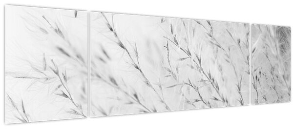 Obraz - Pampas grass N⁰2 (170x50 cm)