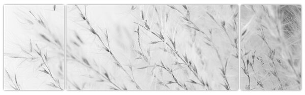 Obraz - Pampas grass N⁰2 (170x50 cm)