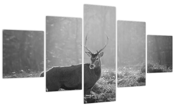 Obraz - Jelen v lese, černobílá (125x70 cm)