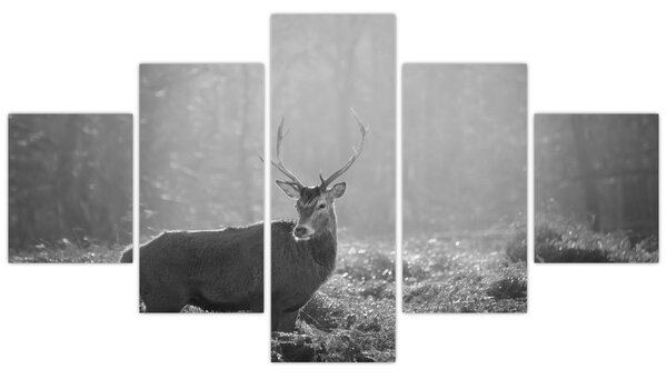 Obraz - Jelen v lese, černobílá (125x70 cm)