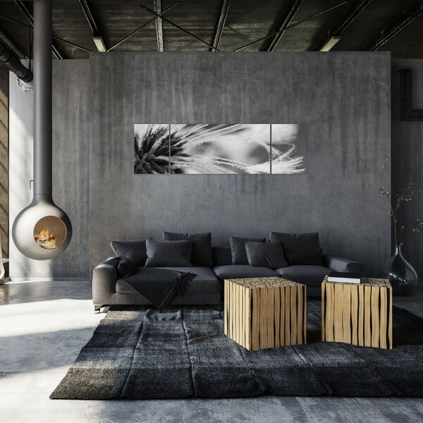 Obraz - Makro, černobílá (170x50 cm)