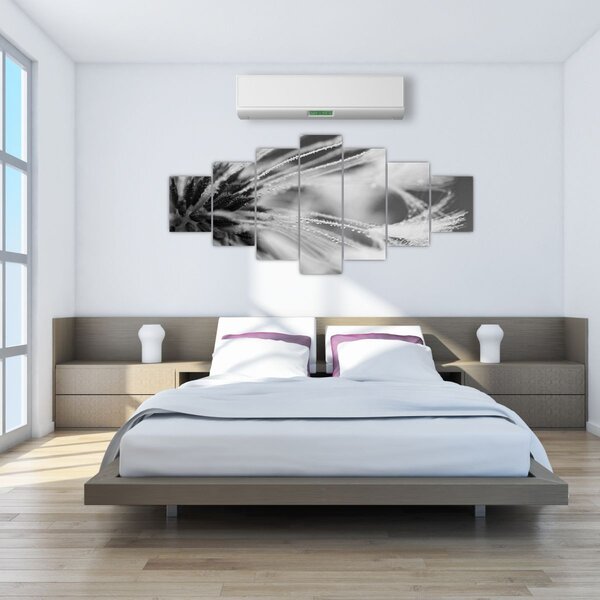 Obraz - Makro, černobílá (210x100 cm)