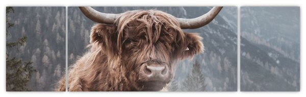 Obraz - Highlander kráva (170x50 cm)