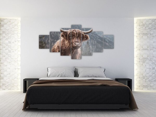 Obraz - Highlander kráva (210x100 cm)