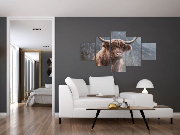 Obraz - Highlander kráva (125x70 cm)