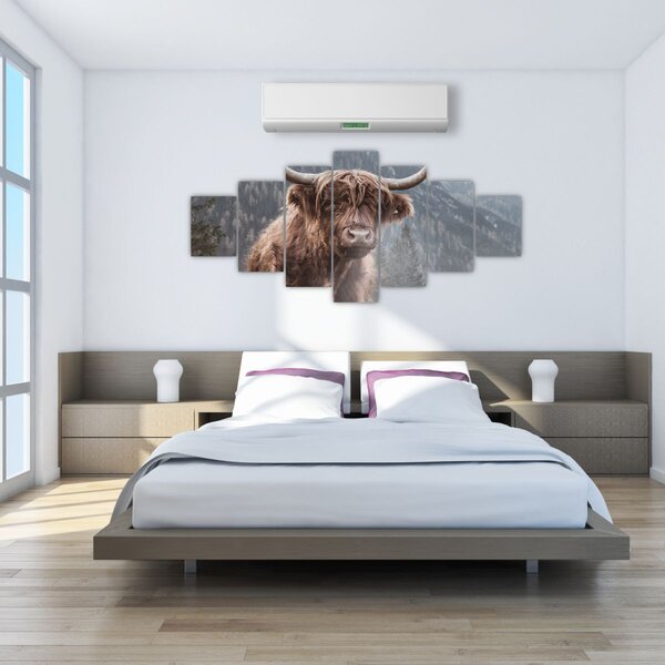 Obraz - Highlander kráva (210x100 cm)
