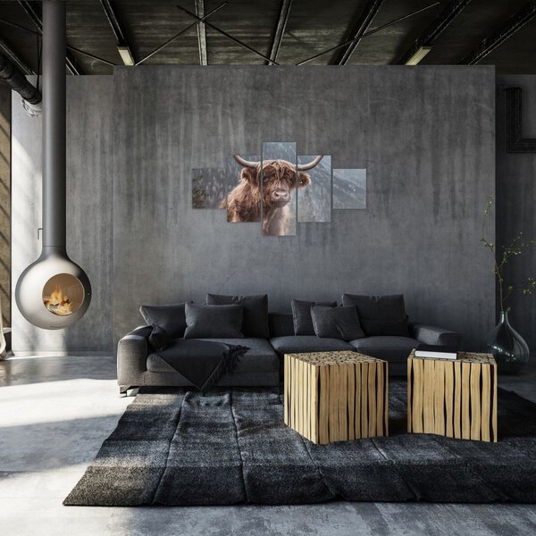 Obraz - Highlander kráva (125x70 cm)