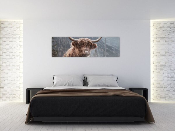 Obraz - Highlander kráva (170x50 cm)