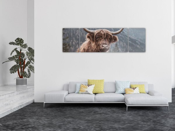 Obraz - Highlander kráva (170x50 cm)