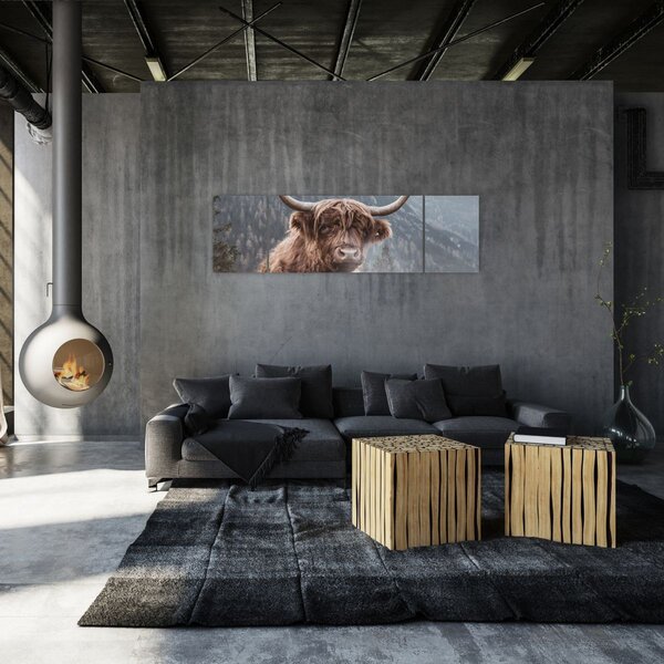 Obraz - Highlander kráva (170x50 cm)