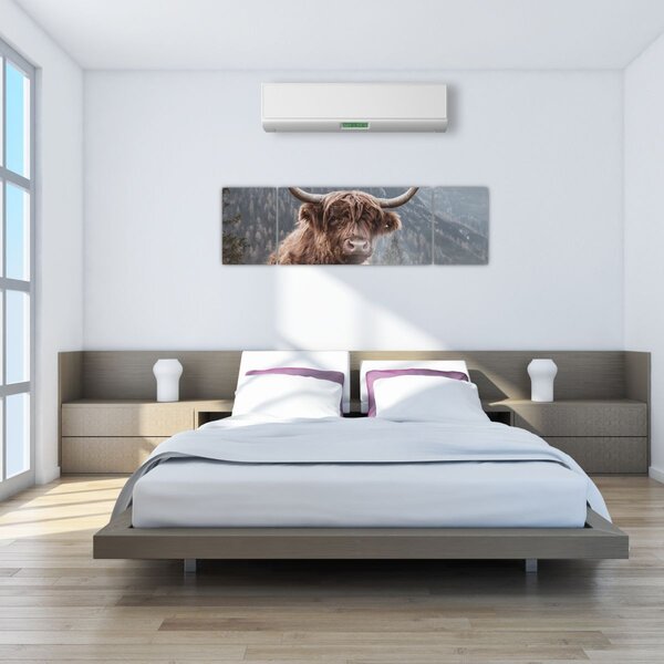 Obraz - Highlander kráva (170x50 cm)