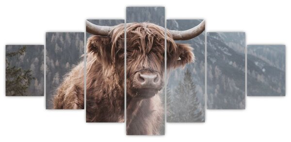 Obraz - Highlander kráva (210x100 cm)