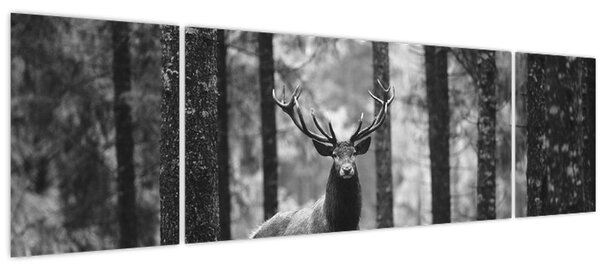 Obraz - Jelen v lese 2, černobílá (170x50 cm)