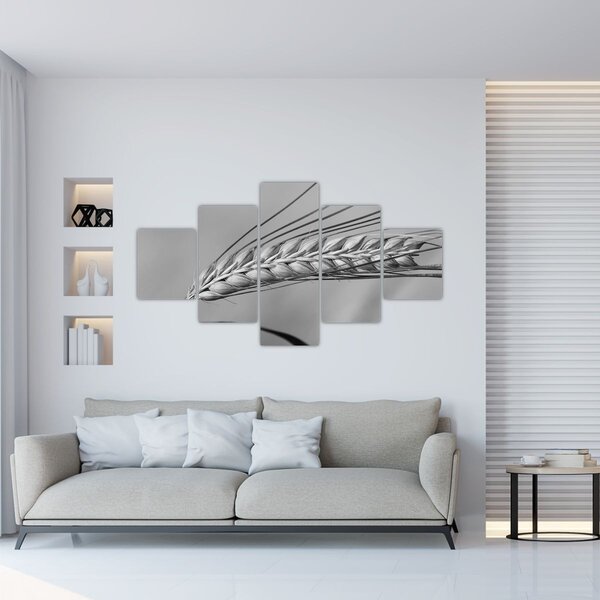 Obraz - Pšenice, černobílá (125x70 cm)
