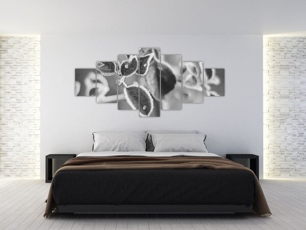 Obraz - Příroda na podzim (210x100 cm)