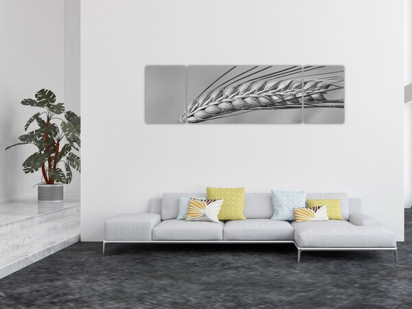Obraz - Pšenice, černobílá (170x50 cm)