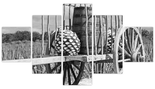 Obraz - Přívěsný vozík, černobílá (125x70 cm)