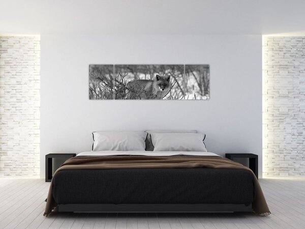 Obraz - Liška v zimě (170x50 cm)