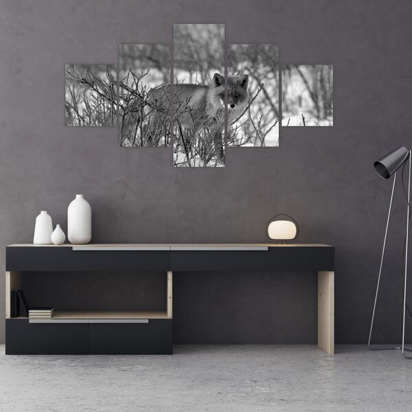 Obraz - Liška v zimě (125x70 cm)