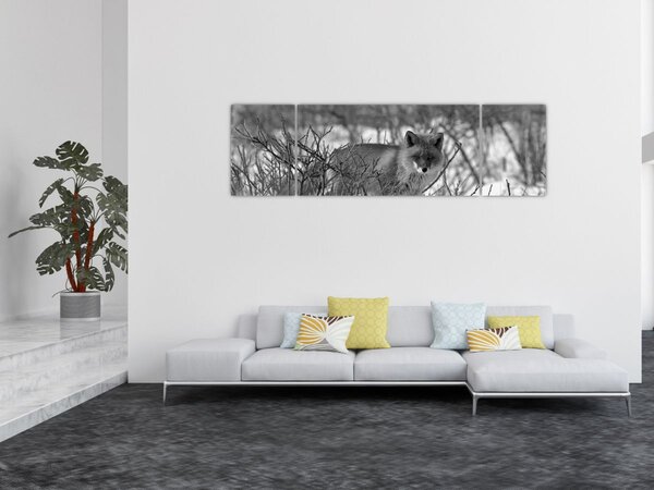 Obraz - Liška v zimě (170x50 cm)