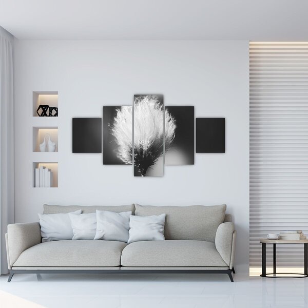 Obraz - Černobílý cottongrass (125x70 cm)