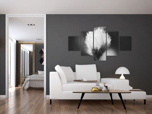 Obraz - Černobílý cottongrass (125x70 cm)