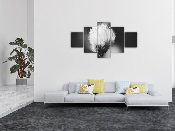 Obraz - Černobílý cottongrass (125x70 cm)