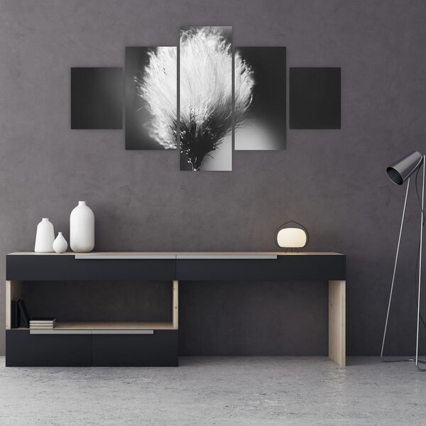 Obraz - Černobílý cottongrass (125x70 cm)