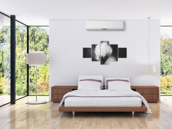Obraz - Černobílý cottongrass (125x70 cm)