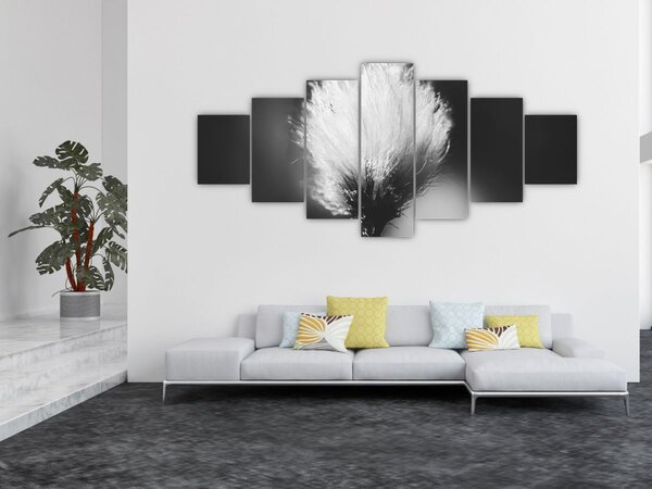 Obraz - Černobílý cottongrass (210x100 cm)