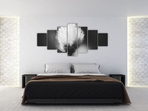 Obraz - Černobílý cottongrass (210x100 cm)