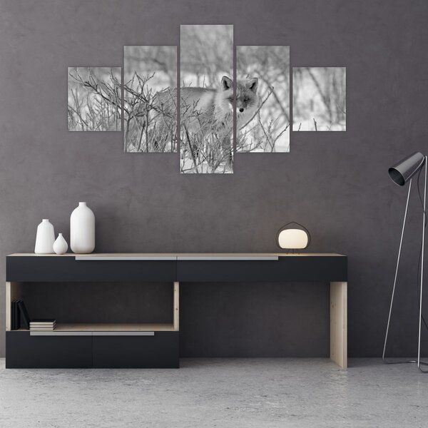 Obraz - Lišák, černobílá (125x70 cm)