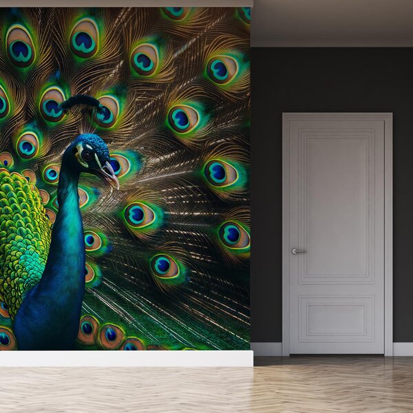 Fototapeta - Páv (245x170 cm)